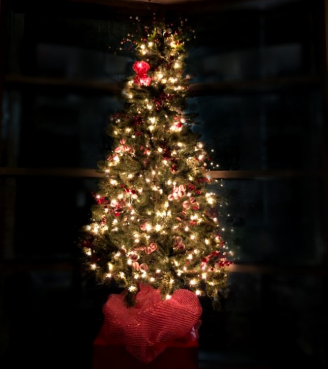 Christmas Tree Inside County Administration Building
